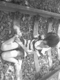 tot eoh